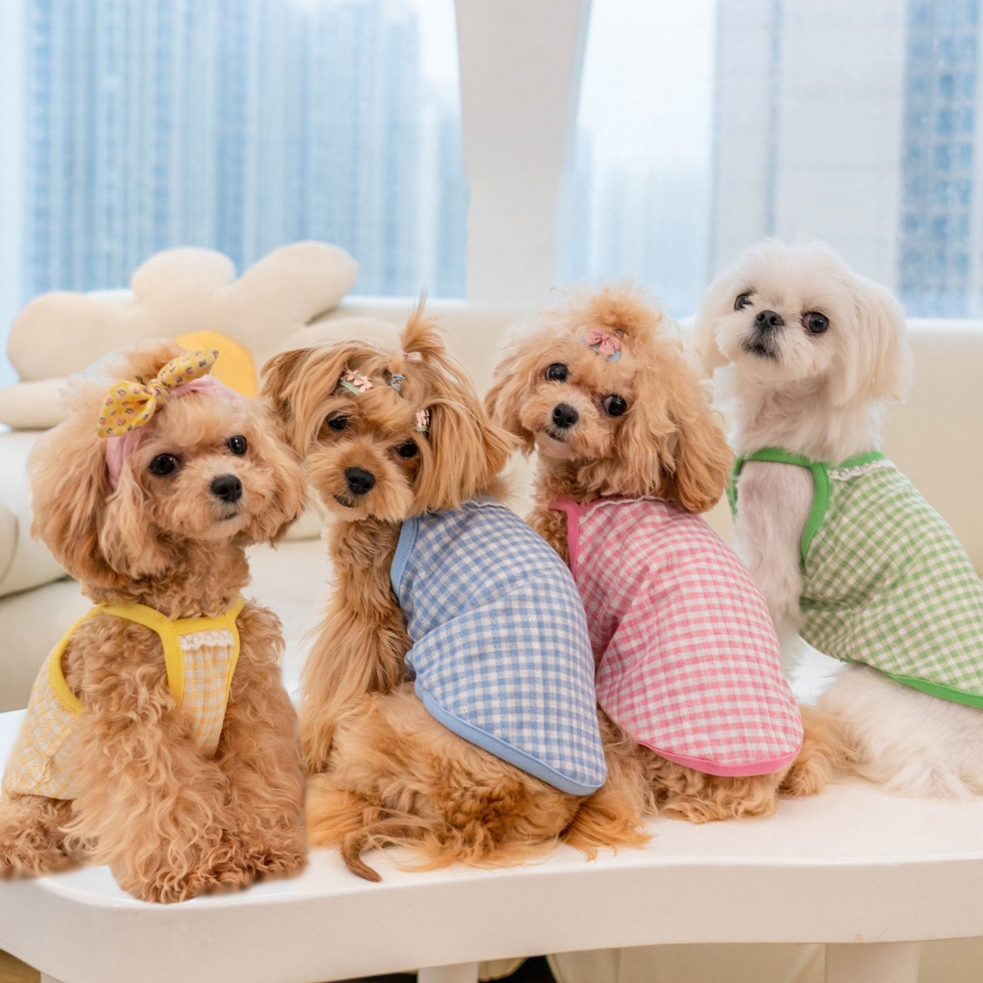 Stretchy Cotton Belly Support Vest for Toy Dogs - PIKAPIKA