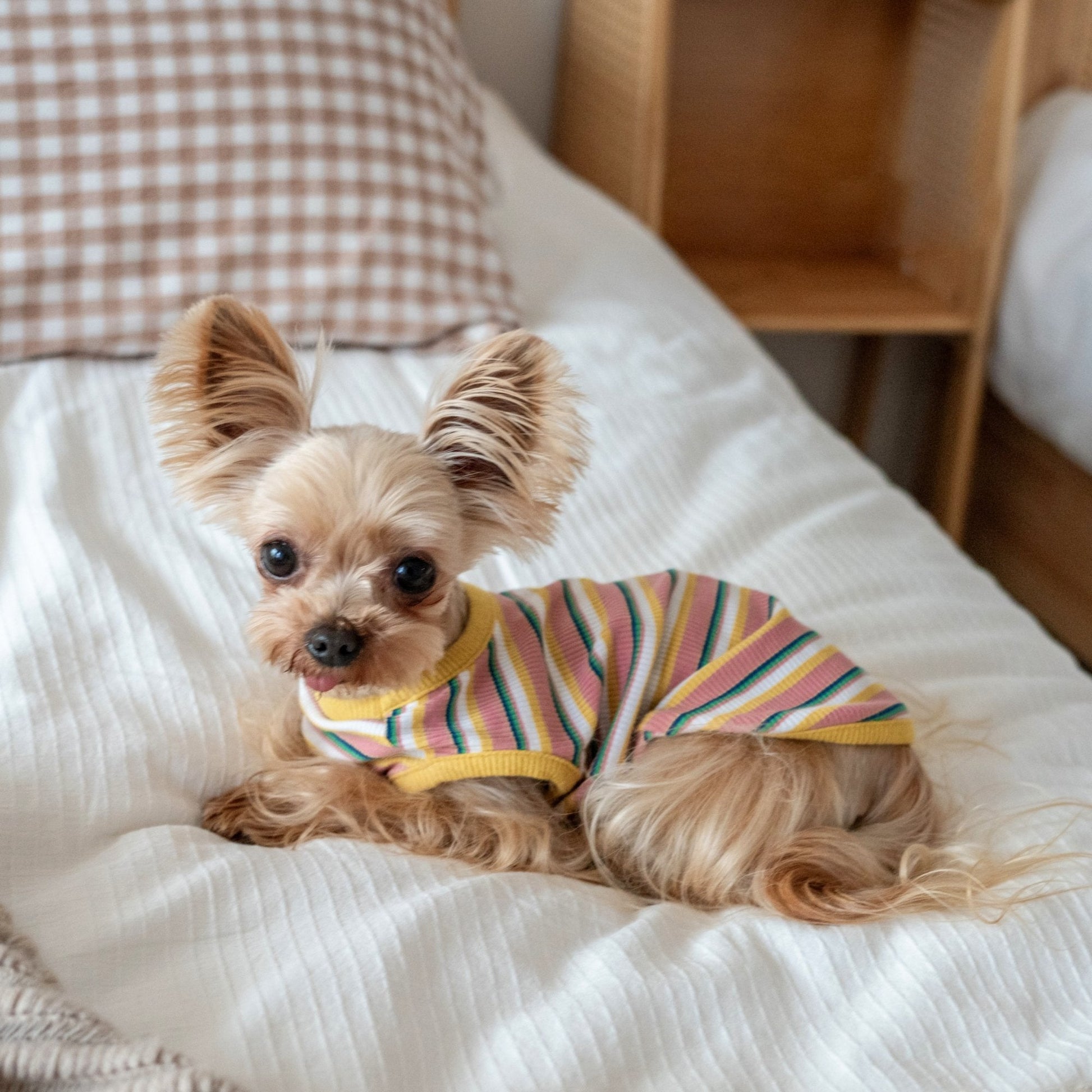 Stretchy Cotton Tank Top for Toy Dogs like Maltese and Yorkie - PIKAPIKA