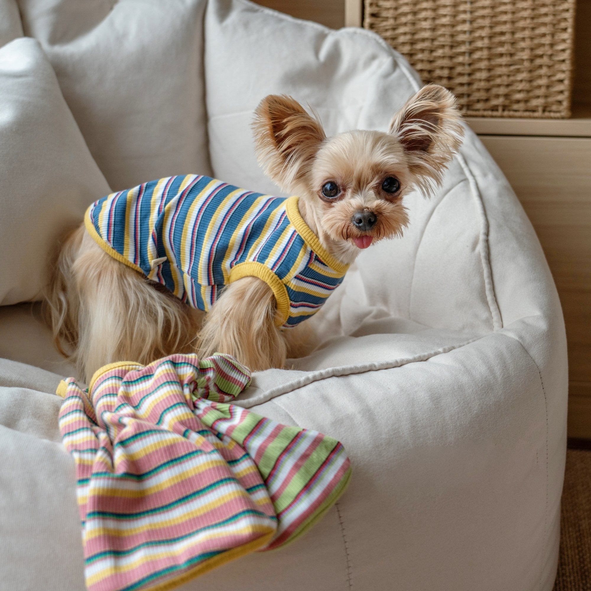 Stretchy Cotton Tank Top for Toy Dogs like Maltese and Yorkie - PIKAPIKA