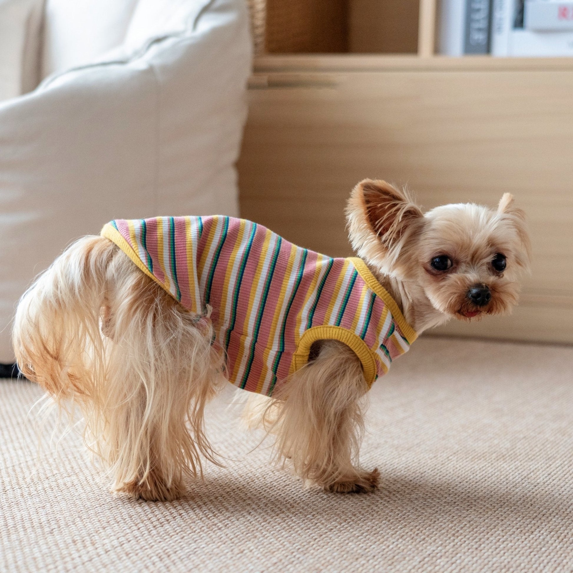 Stretchy Cotton Tank Top for Toy Dogs like Maltese and Yorkie - PIKAPIKA