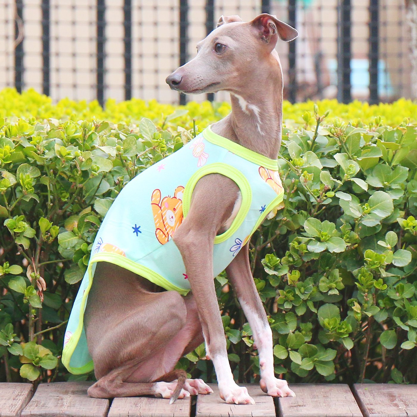 Stretchy Printed Milk Silk Dog Tank for Italian Greyhound - PIKAPIKA