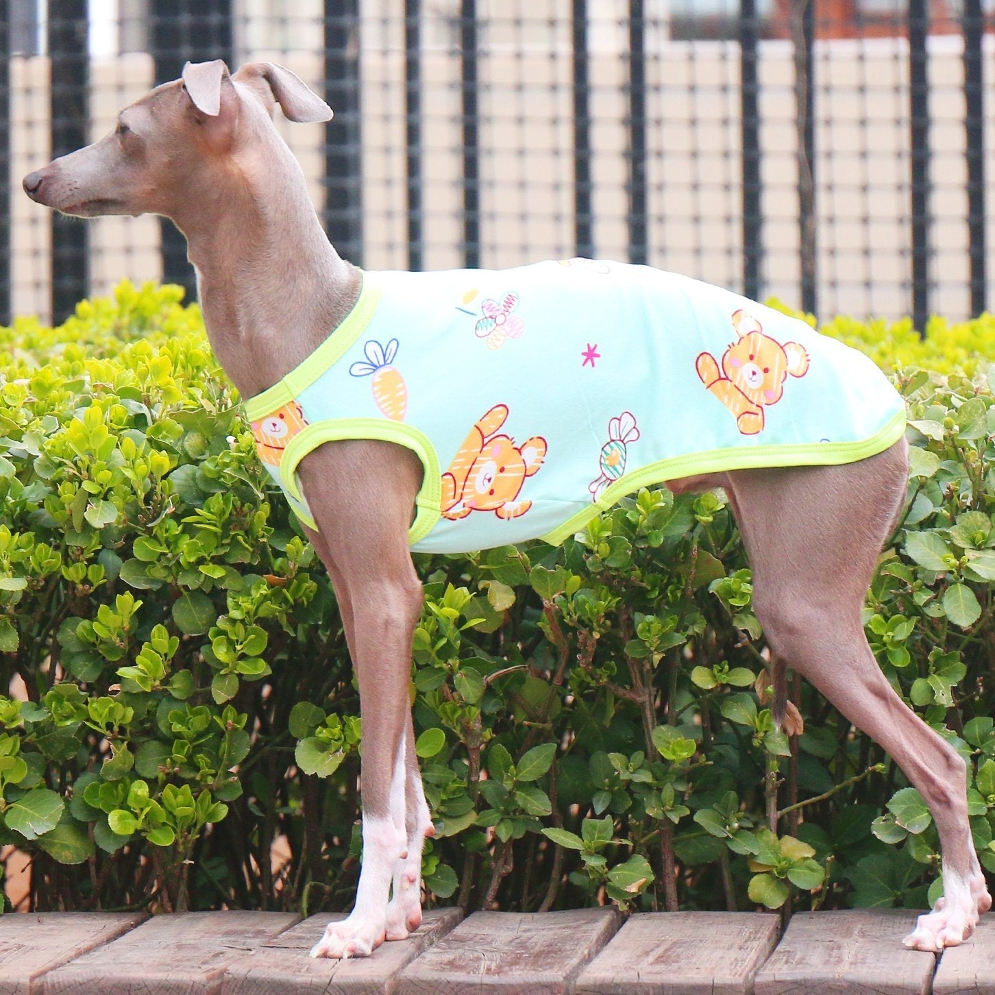 Stretchy Printed Milk Silk Dog Tank for Italian Greyhound - PIKAPIKA
