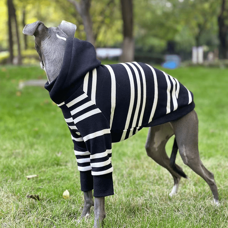Stripe Black Hoodie Italian greyhound Dog Clothes - PIKAPIKA