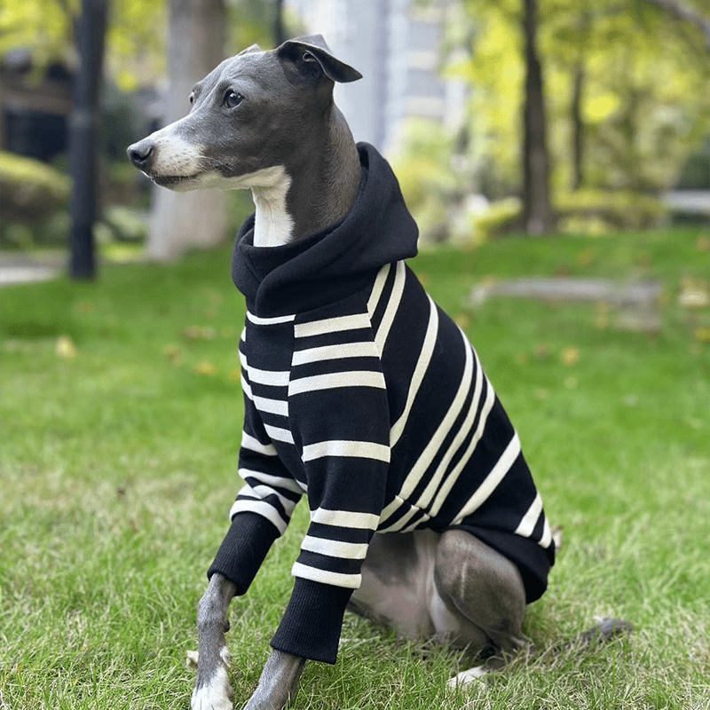 Stripe Black Hoodie Italian greyhound Dog Clothes - PIKAPIKA