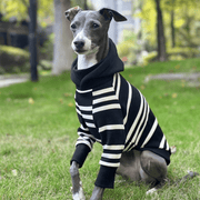 Stripe Black Hoodie Italian greyhound Dog Clothes - PIKAPIKA