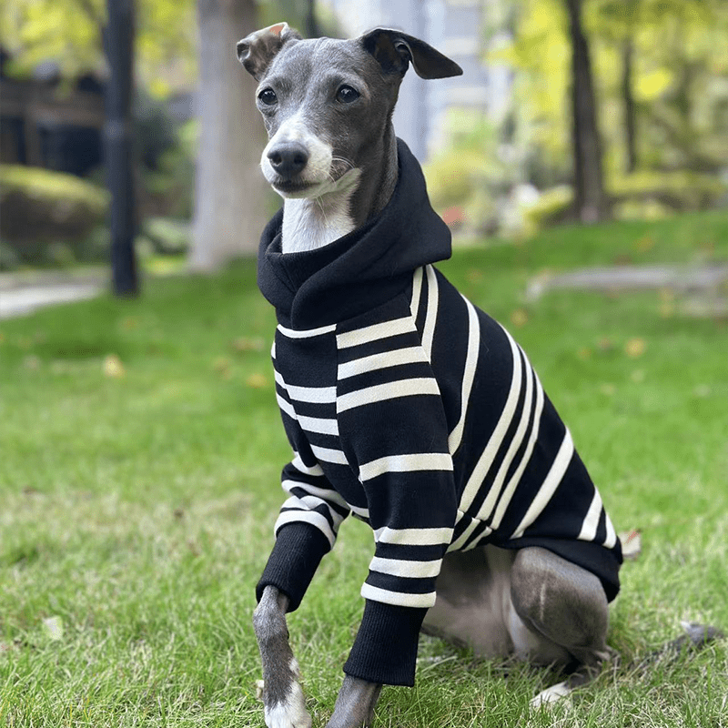 Stripe Black Hoodie Italian greyhound Dog Clothes - PIKAPIKA