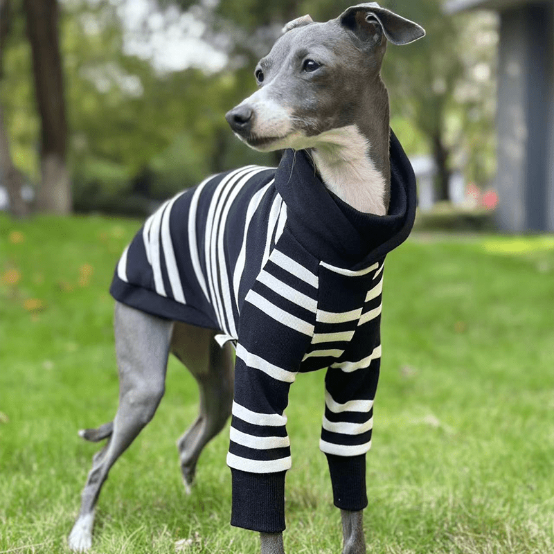 Stripe Black Hoodie Italian greyhound Dog Clothes - PIKAPIKA