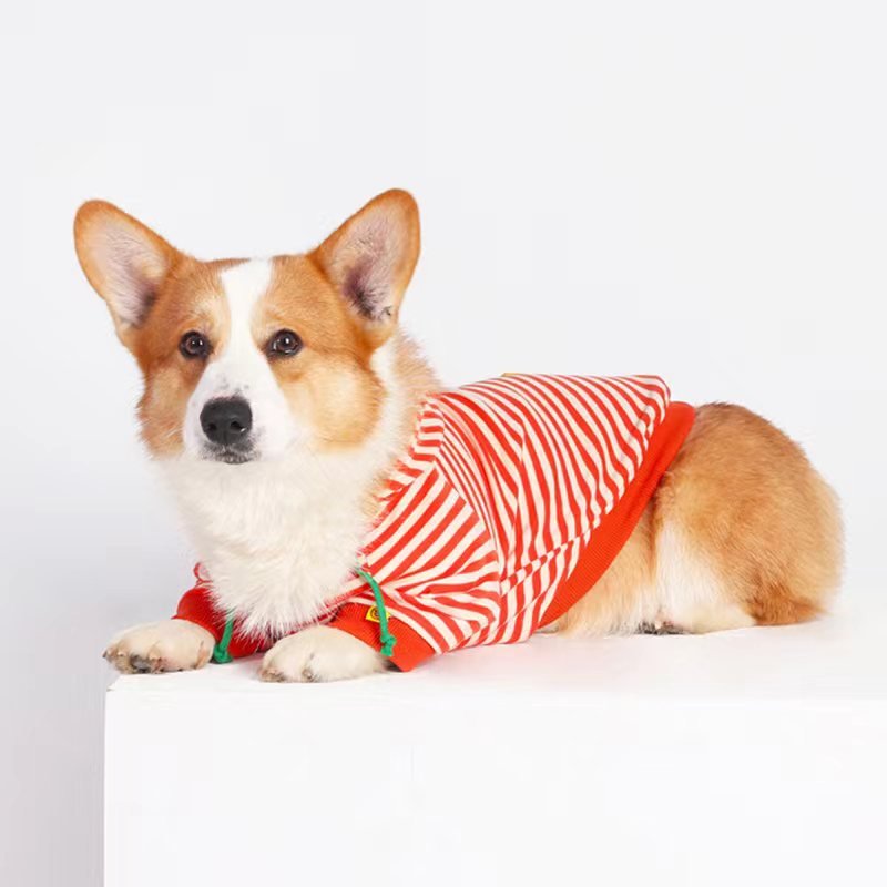 Stripe Hoodie Corgi Dog Clothes - PIKAPIKA