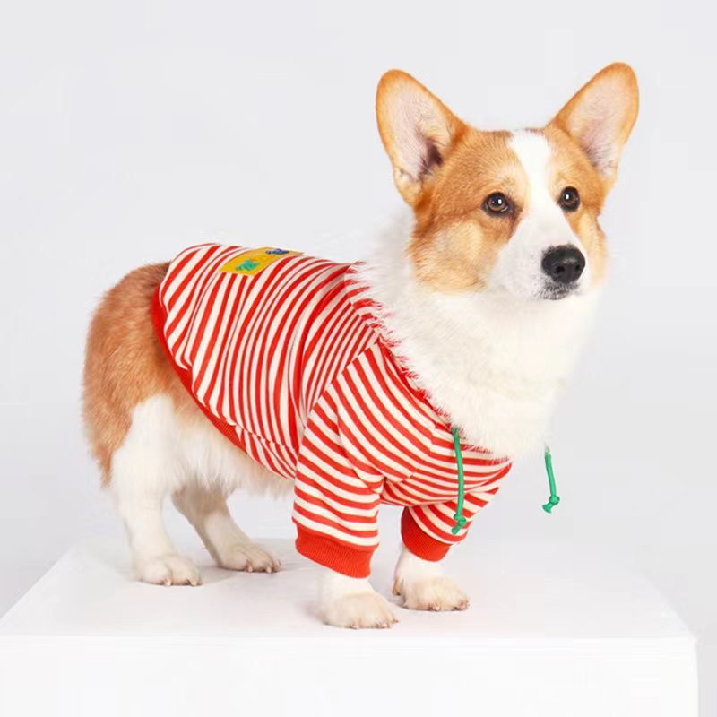 Stripe Hoodie Corgi Dog Clothes - PIKAPIKA