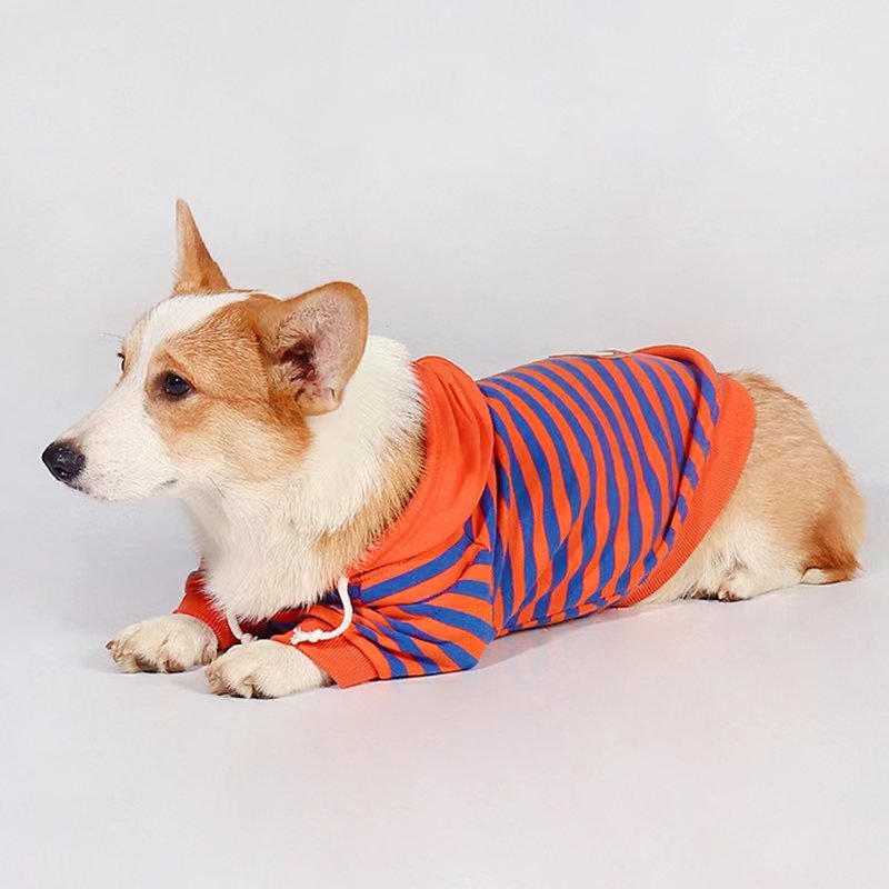 Stripe Hoodie Corgi Dog Clothes - PIKAPIKA