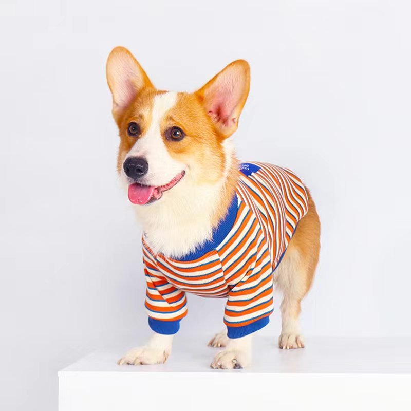 Stripe Shirt Corgi Dog Clothes - PIKAPIKA