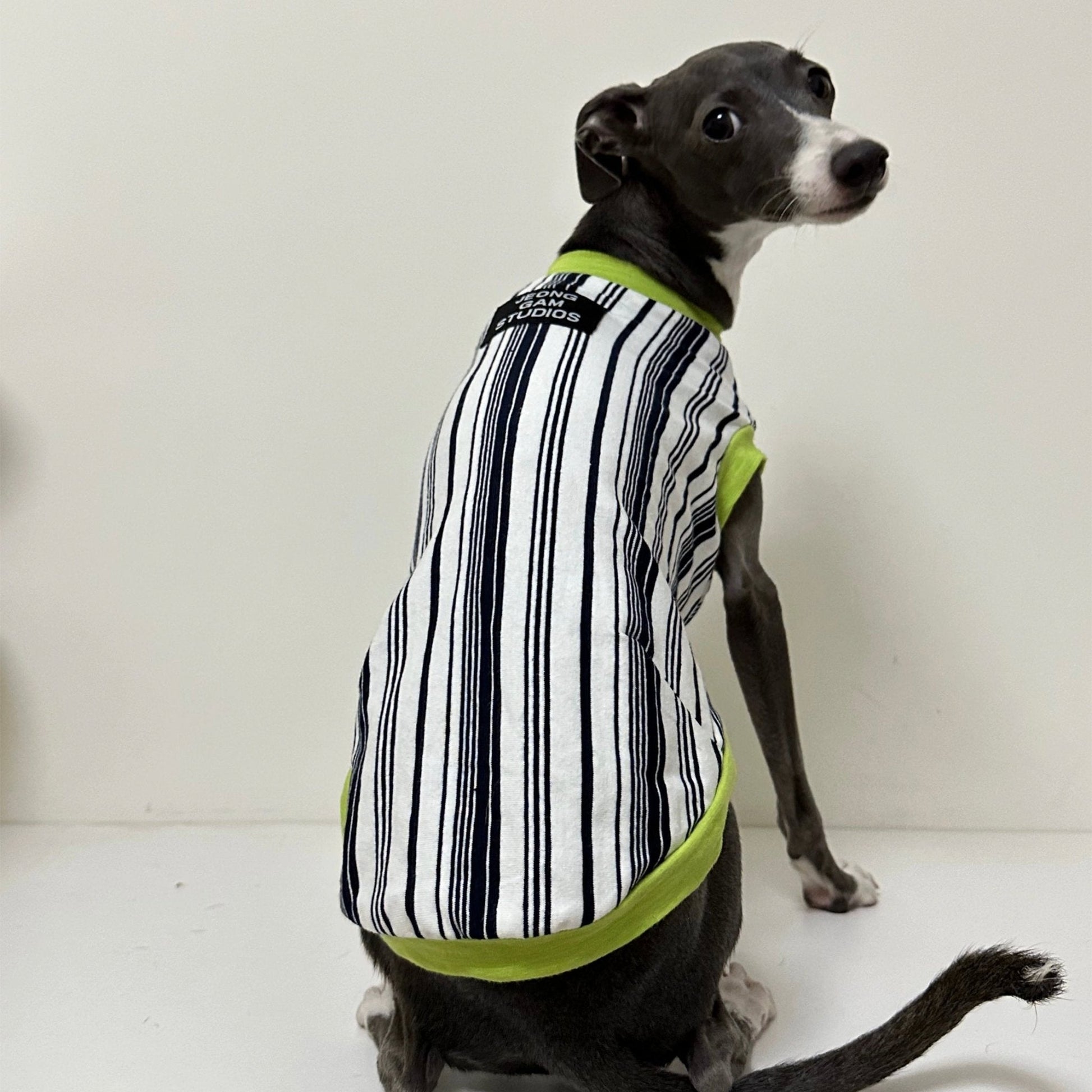 Stripe Shirt Tank Top Italian Greyhound Whippet Dog Clothes - PIKAPIKA