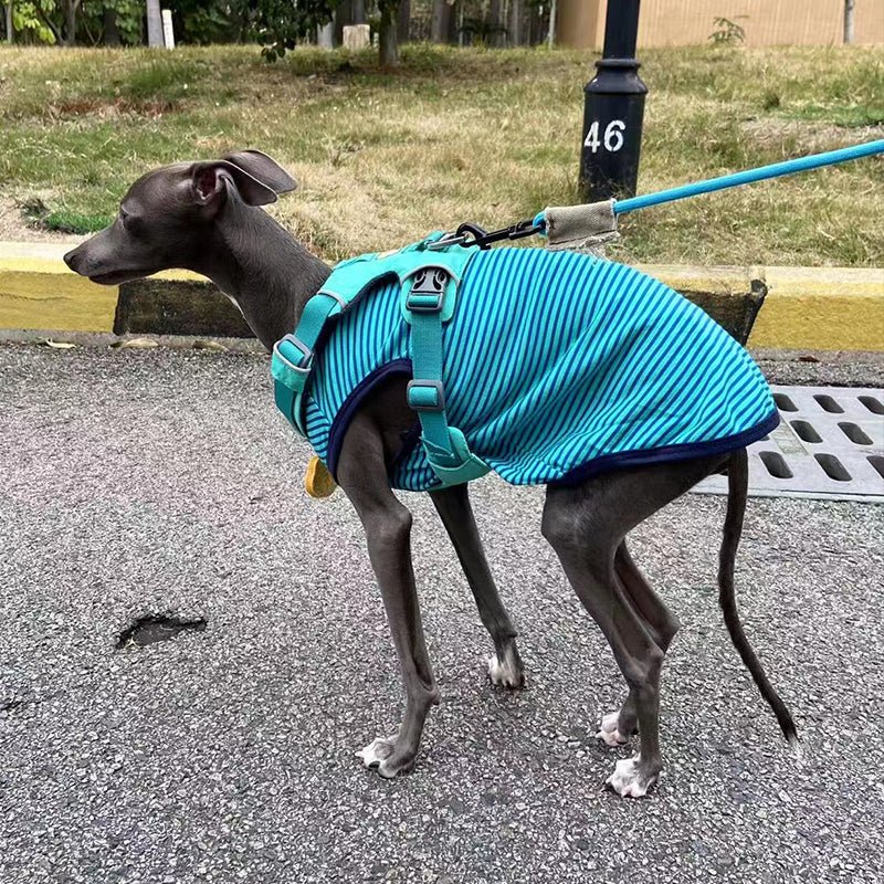 Stripe Shirt Tank Top Italian Greyhound Whippet Dog Clothes - PIKAPIKA