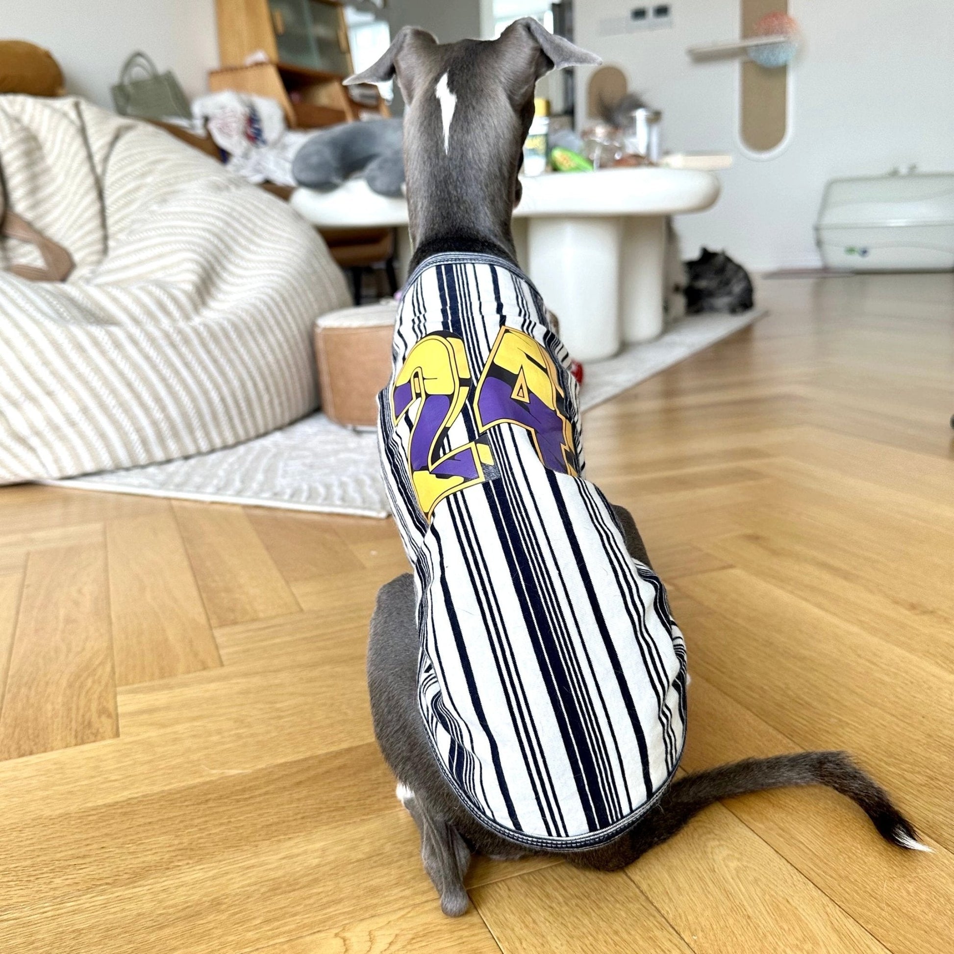 Stripe Shirt Tank Top Italian Greyhound Whippet Dog Clothes - PIKAPIKA