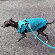 Stripe Shirt Tank Top Italian Greyhound Whippet Dog Clothes - PIKAPIKA