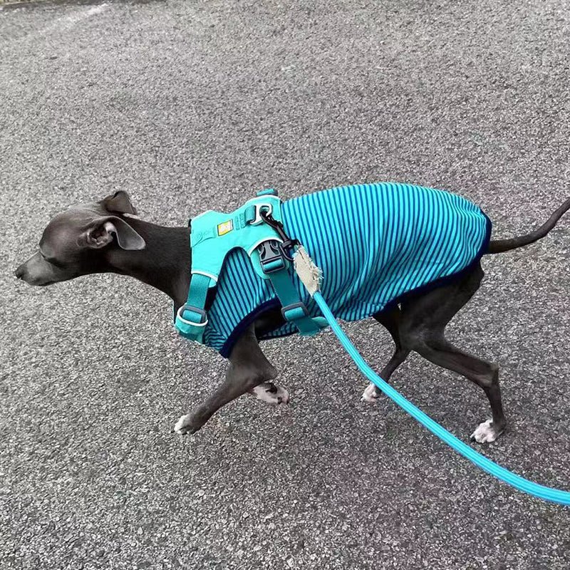 Stripe Shirt Tank Top Italian Greyhound Whippet Dog Clothes - PIKAPIKA