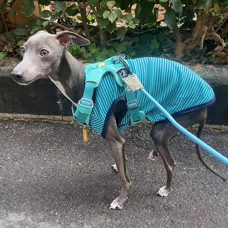 Stripe Shirt Tank Top Italian Greyhound Whippet Dog Clothes - PIKAPIKA