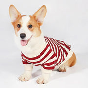 Stripe Shirts Corgi Dog Clothes - PIKAPIKA