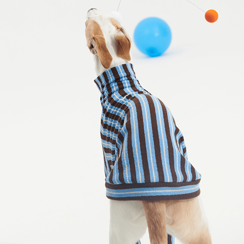 Stripe Shirts with Hat Dog Pajamas Italian Greyhound Clothes Blue - PIKAPIKA