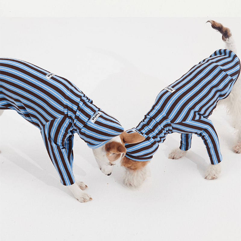 Stripe Shirts with Hat Dog Pajamas Italian Greyhound Clothes Blue - PIKAPIKA