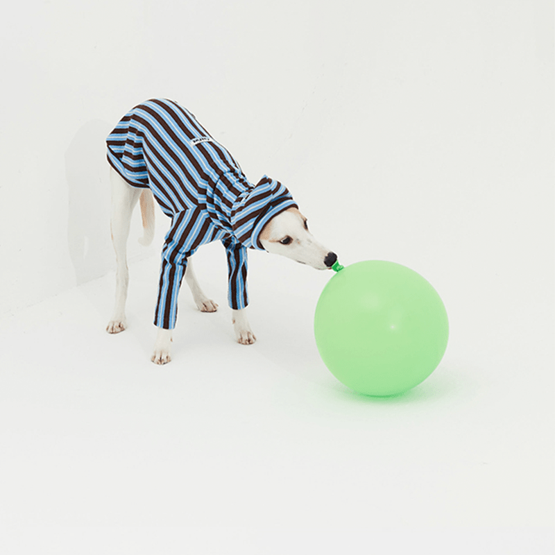 Stripe Shirts with Hat Dog Pajamas Italian Greyhound Clothes Blue - PIKAPIKA