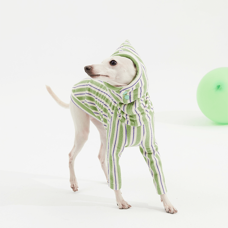 Stripe Shirts with Hat Dog Pajamas Italian Greyhound Clothes Green - PIKAPIKA