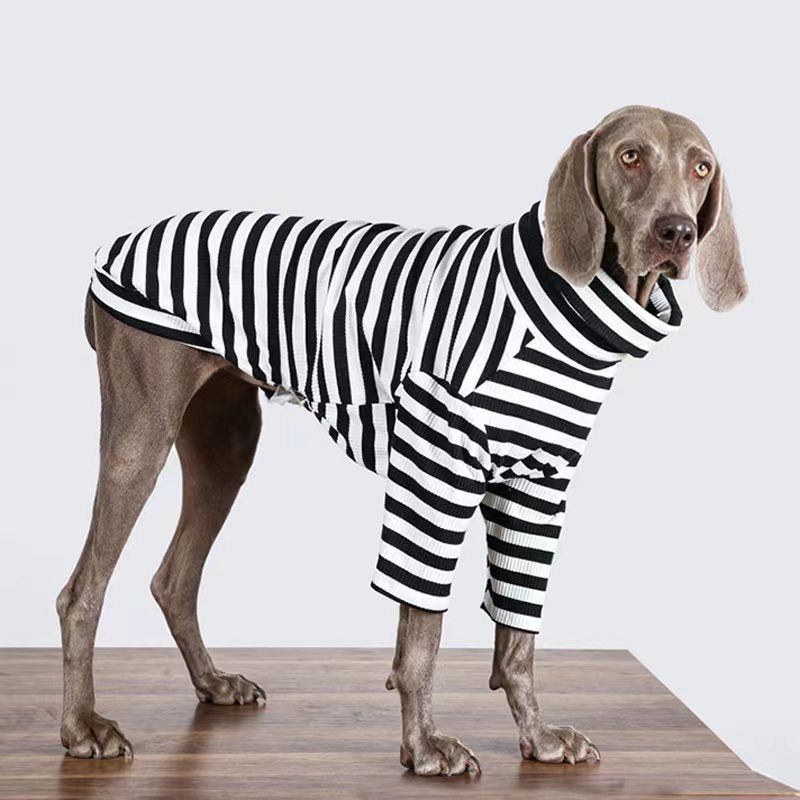 Stripe T Shirt Top Big Dog Clothing - PIKAPIKA