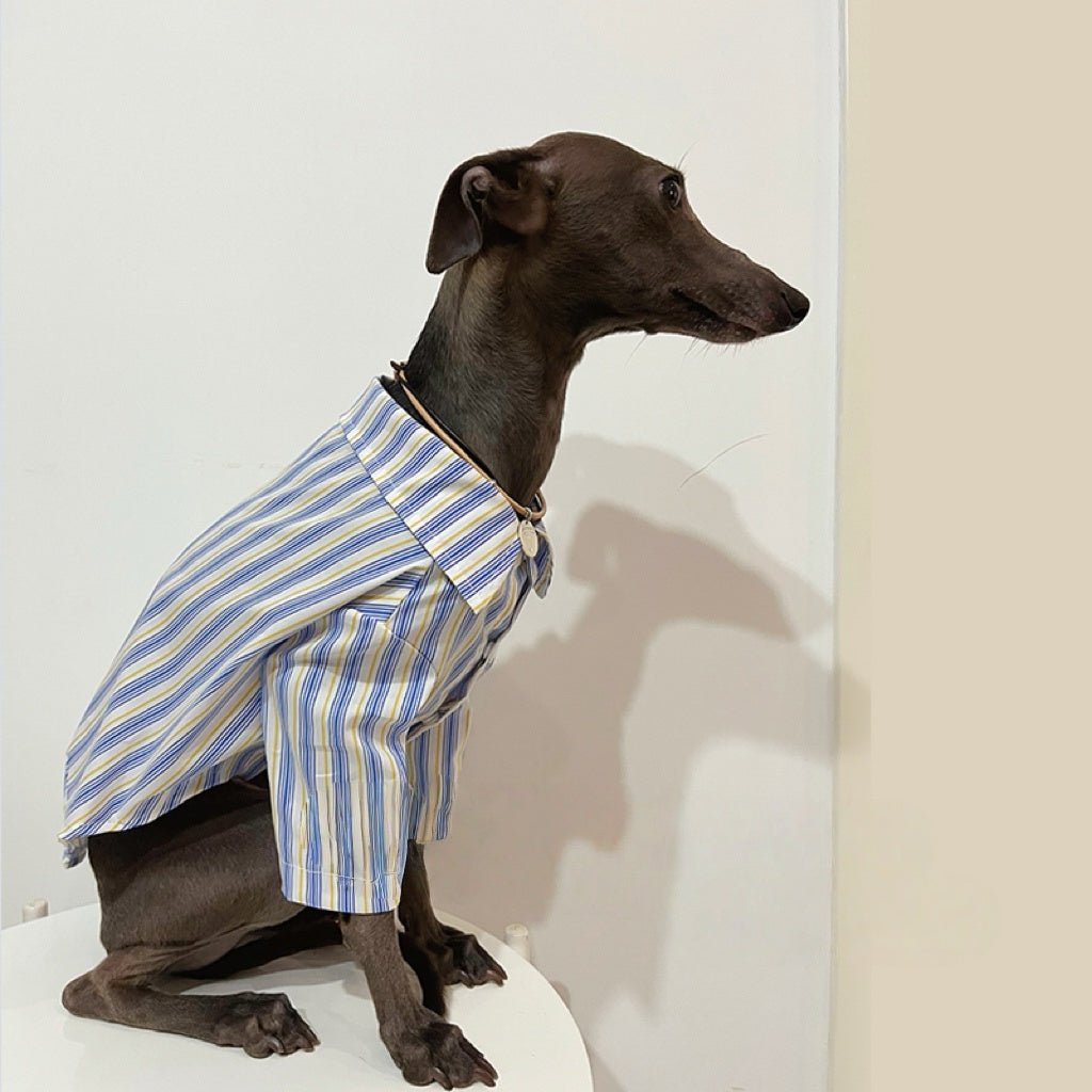 Striped Casual Shirt Summer Outfit for Sighthounds - PIKAPIKA