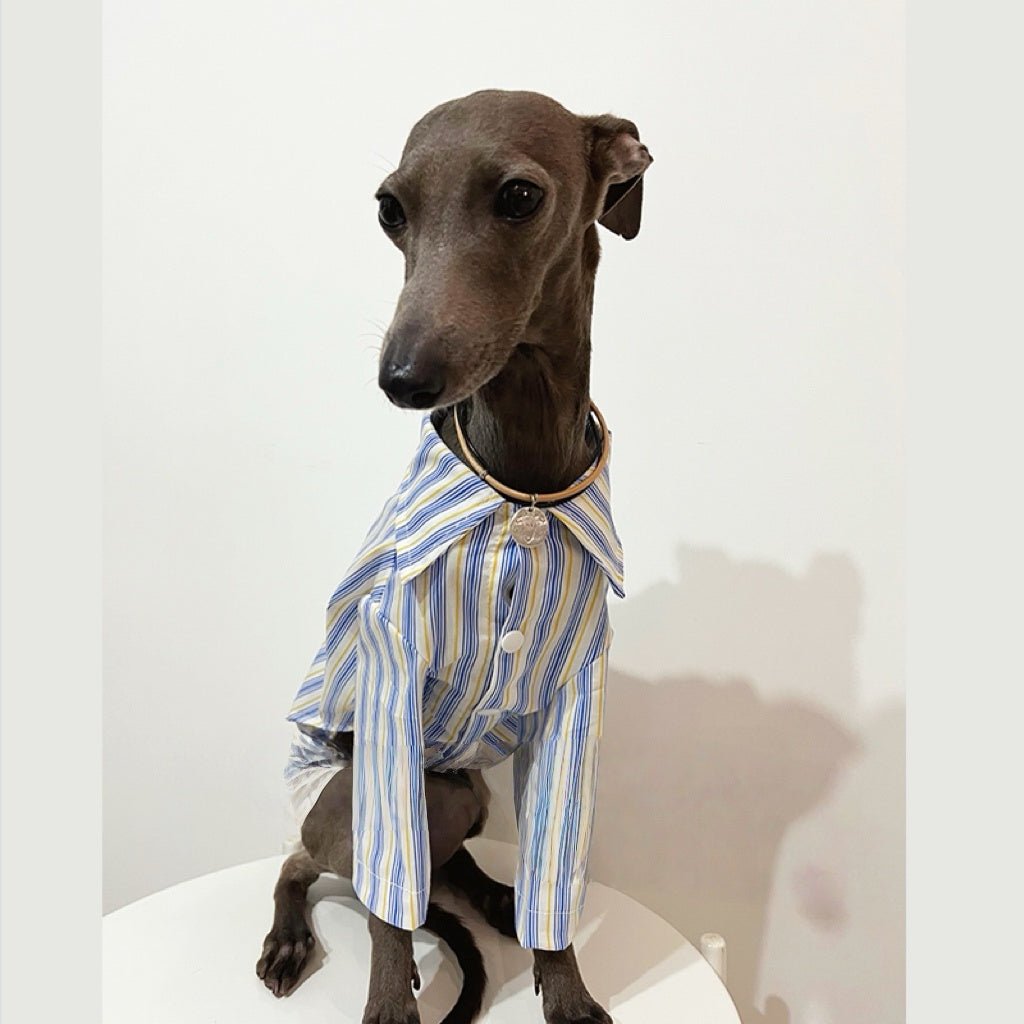 Striped Casual Shirt Summer Outfit for Sighthounds - PIKAPIKA
