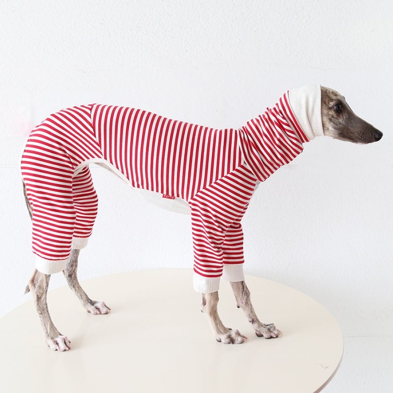 Striped Four - Leg Pajamas for Italian Greyhound Whippet Dog Clothes - PIKAPIKA