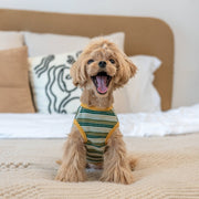 Striped Waffle Knit Tank Top for Toy Dogs - PIKAPIKA