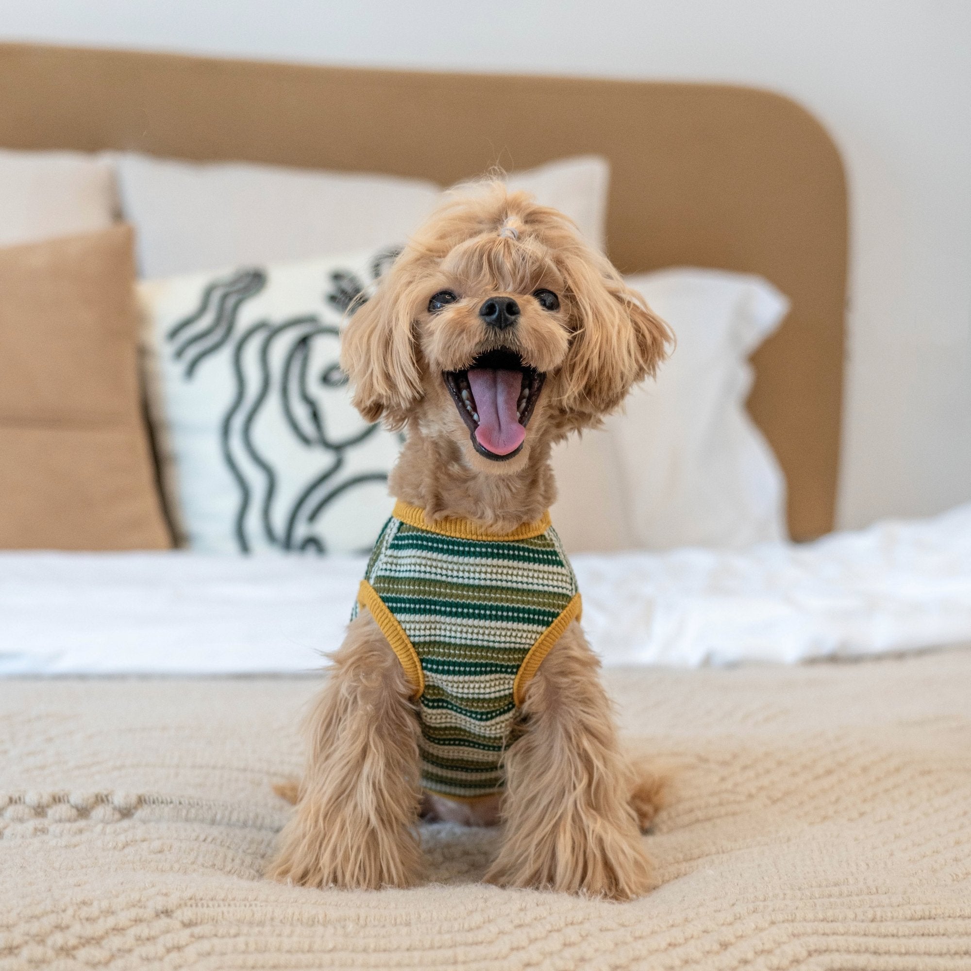 Striped Waffle Knit Tank Top for Toy Dogs - PIKAPIKA
