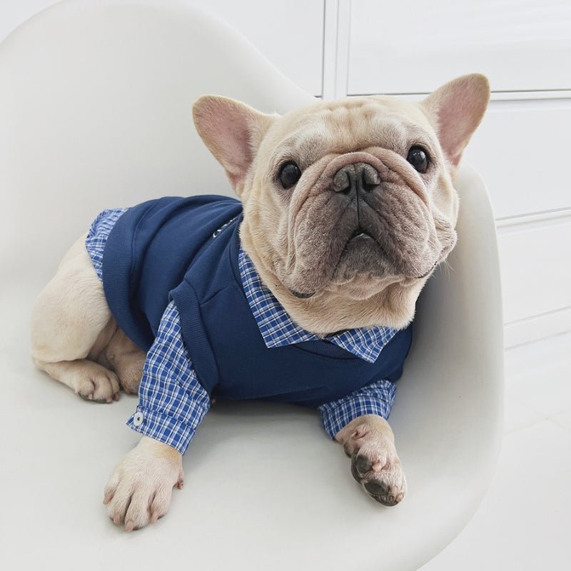 Stylish Shirts Dog Clothes Bulldog Blue - PIKAPIKA