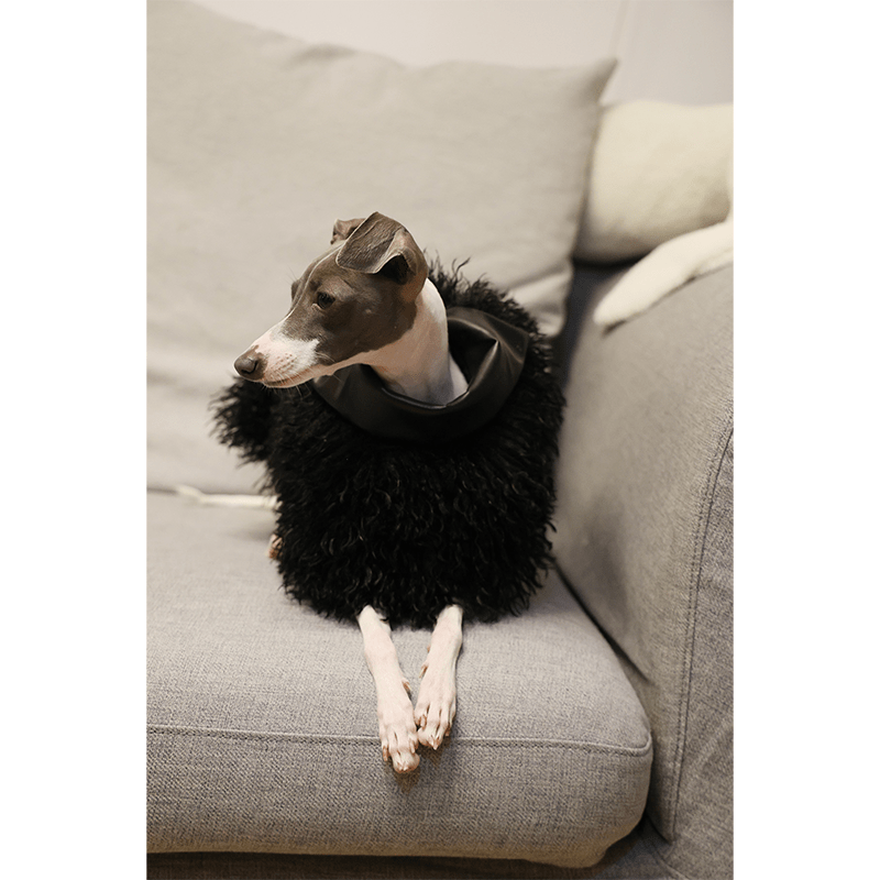 Stylish Winter Cloak Soft Faux Shearling Coat for Italian Greyhounds - PIKAPIKA