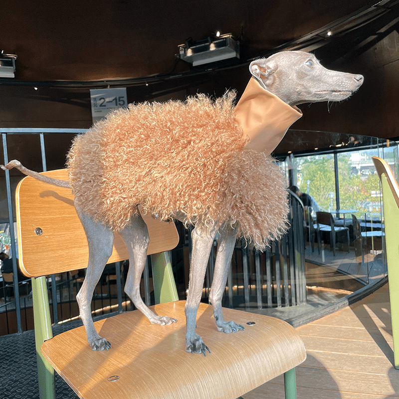 Stylish Winter Cloak Soft Faux Shearling Coat for Italian Greyhounds - PIKAPIKA