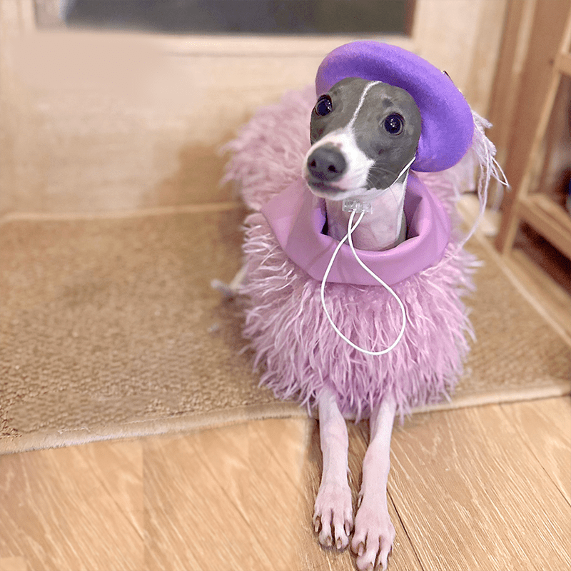 Stylish Winter Cloak Soft Faux Shearling Coat for Italian Greyhounds - PIKAPIKA