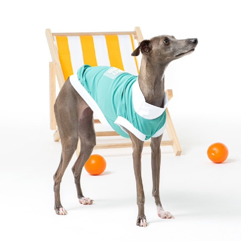 Summer Breathable T Shirt Tank Top Bedlington Dog Clothes - PIKAPIKA