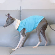 Summer Polo Shirt Breathable Vest for Italian Greyhound Whippet - PIKAPIKA