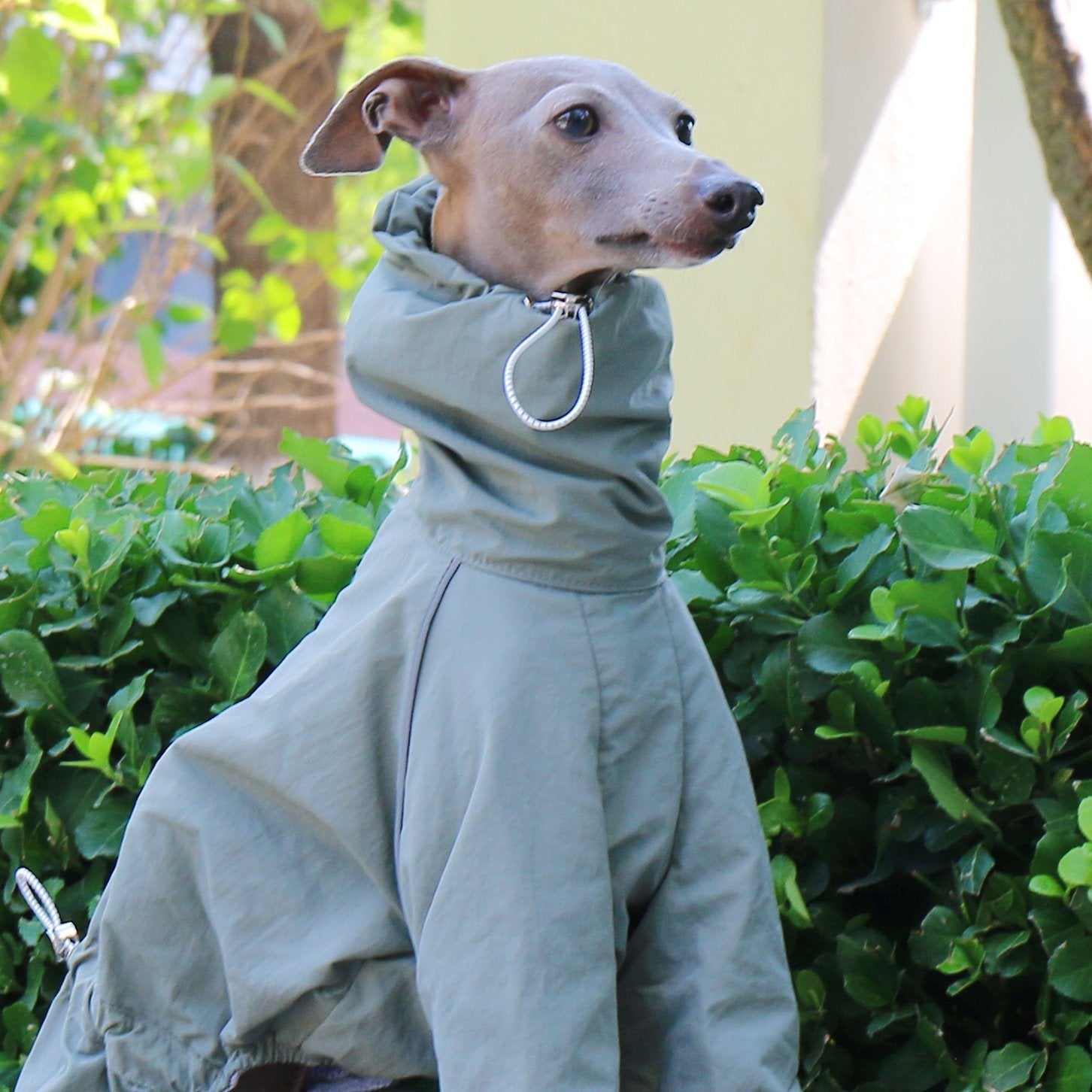 Sunproof Rain Jacket Adjustable High Collar Zipper Coat for Greyhounds - PIKAPIKA