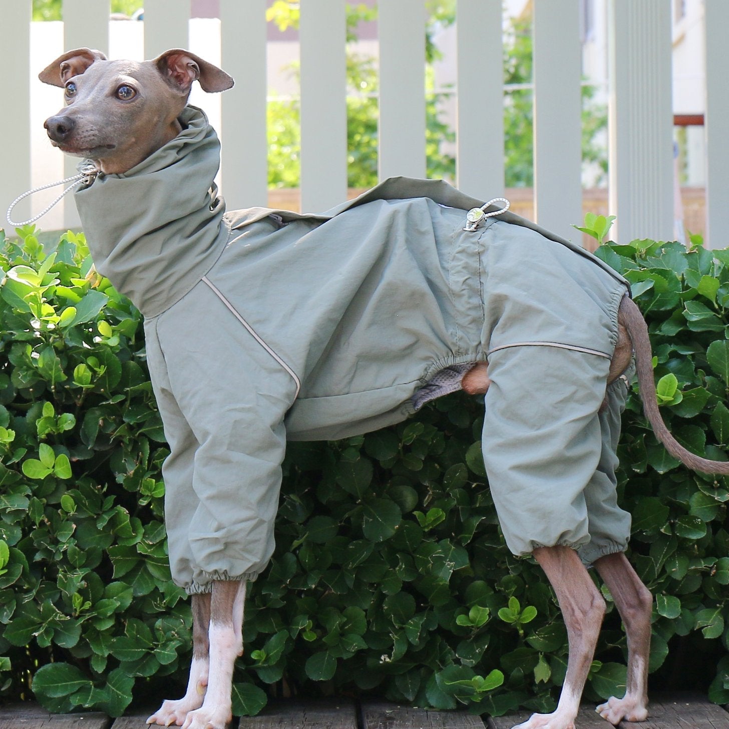 Sunproof Rain Jacket Adjustable High Collar Zipper Coat for Greyhounds - PIKAPIKA