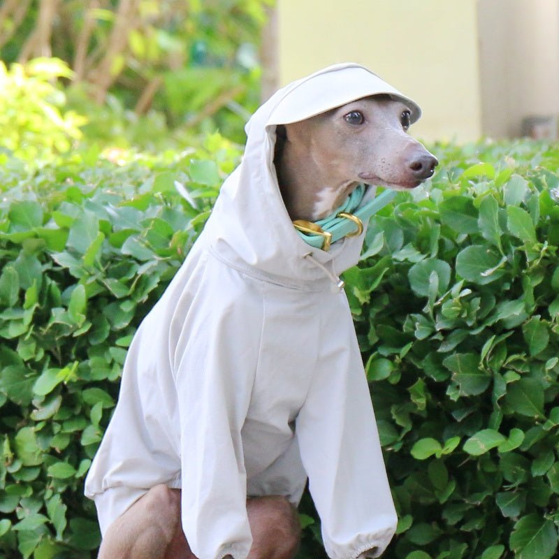Sunproof Waterproof Hooded Whippet Dog Jacket - PIKAPIKA