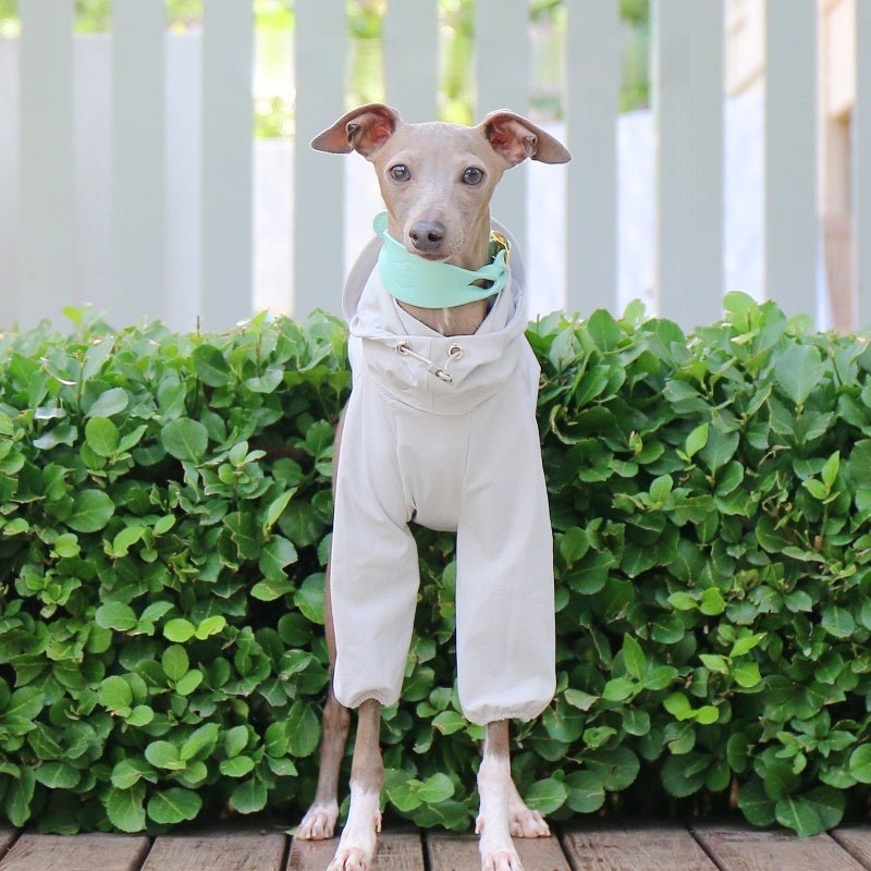 Sunproof Waterproof Hooded Whippet Dog Jacket - PIKAPIKA