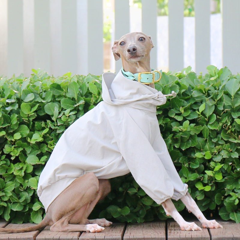 Sunproof Waterproof Hooded Whippet Dog Jacket - PIKAPIKA