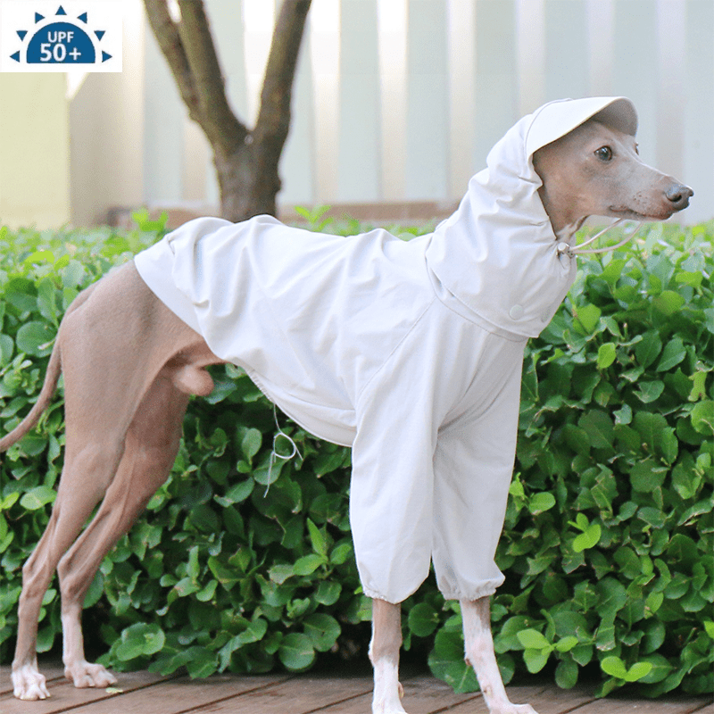 Sunproof Waterproof Hooded Whippet Dog Jacket - PIKAPIKA