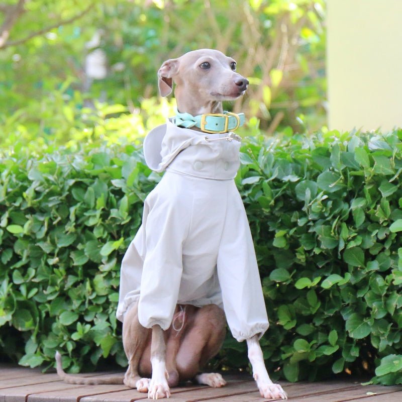 Sunproof Waterproof Hooded Whippet Dog Jacket - PIKAPIKA