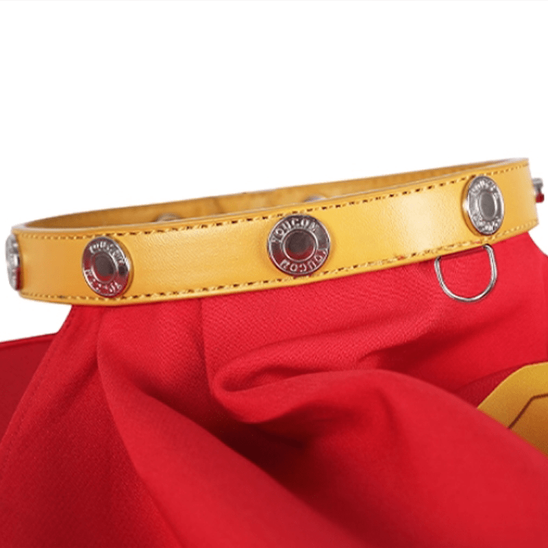 Superman Krypto Halloween Pet Costume Cloak & Collar Dog Outfit Cosplay - PIKAPIKA
