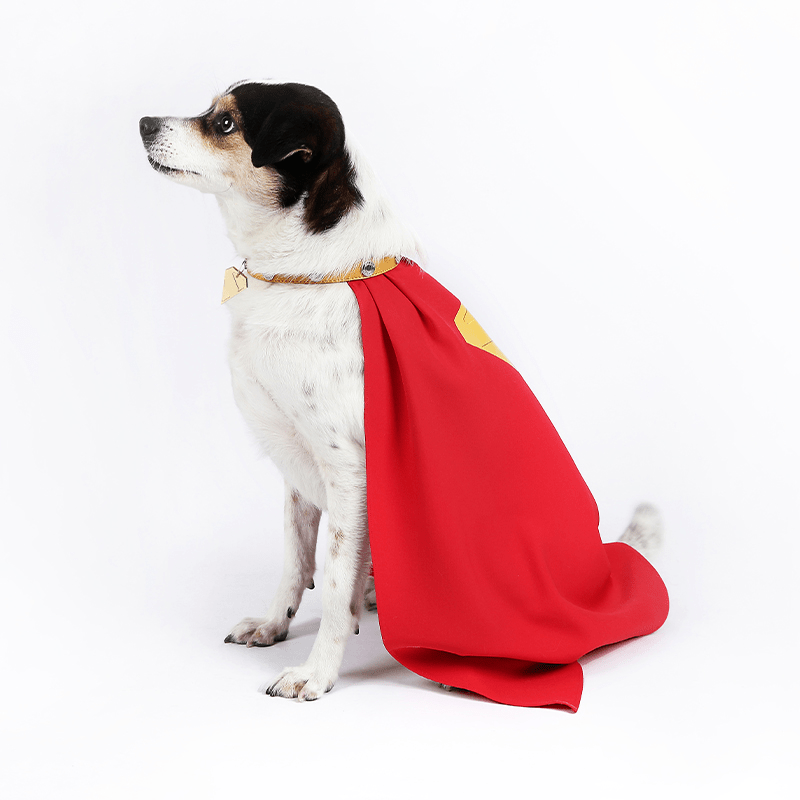 Superman Krypto Halloween Pet Costume Cloak & Collar Dog Outfit Cosplay - PIKAPIKA