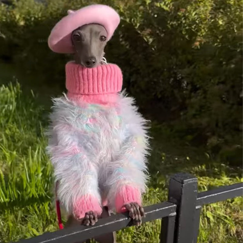 Dog Jumper Knit Plush Sweater for Italian Greyhound Clothes Soft