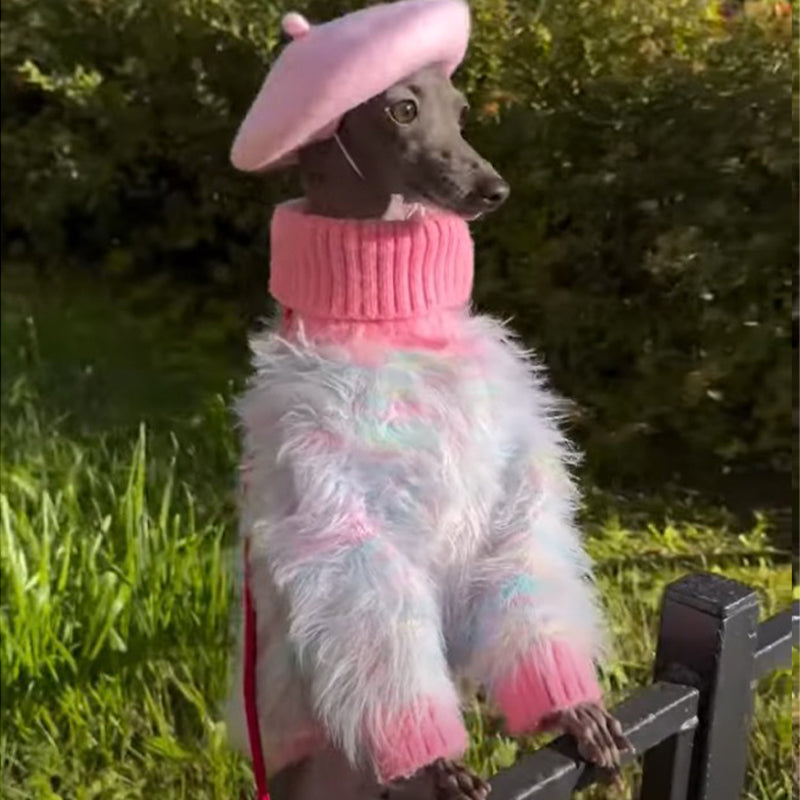 Dog Jumper Knit Plush Sweater for Italian Greyhound Clothes Soft