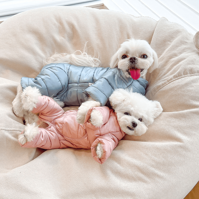 Thick Cotton Four - Leg Small Medium Dogs Clothes Warm Winter Outfit - PIKAPIKA